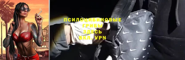 индика Аркадак