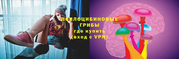 прущие грибы Балабаново