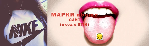 индика Аркадак