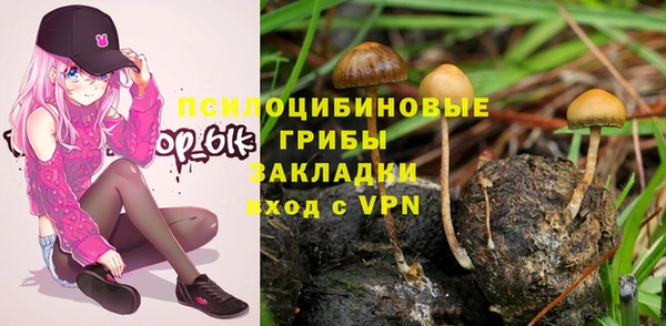 индика Аркадак