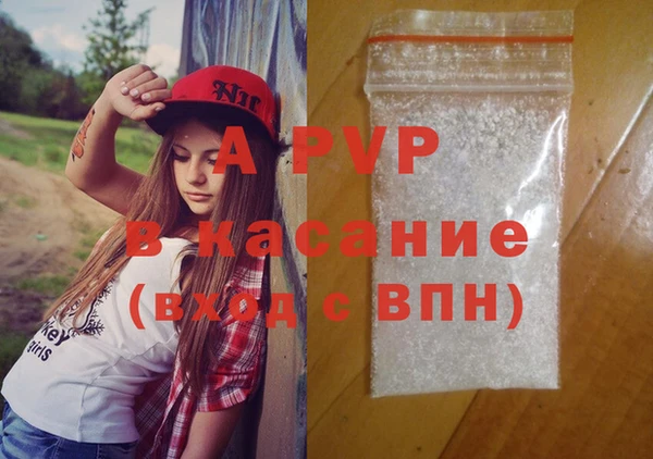 индика Аркадак