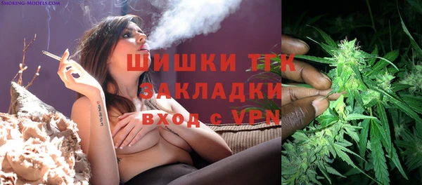 стафф Арсеньев