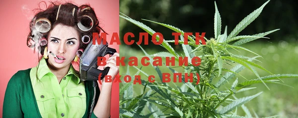 индика Аркадак