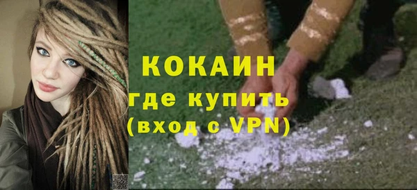 индика Аркадак