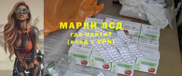 стафф Арсеньев