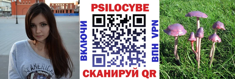 как найти наркотики  Балабаново  Галлюциногенные грибы Cubensis 